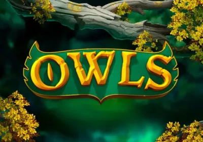 Owls game icon